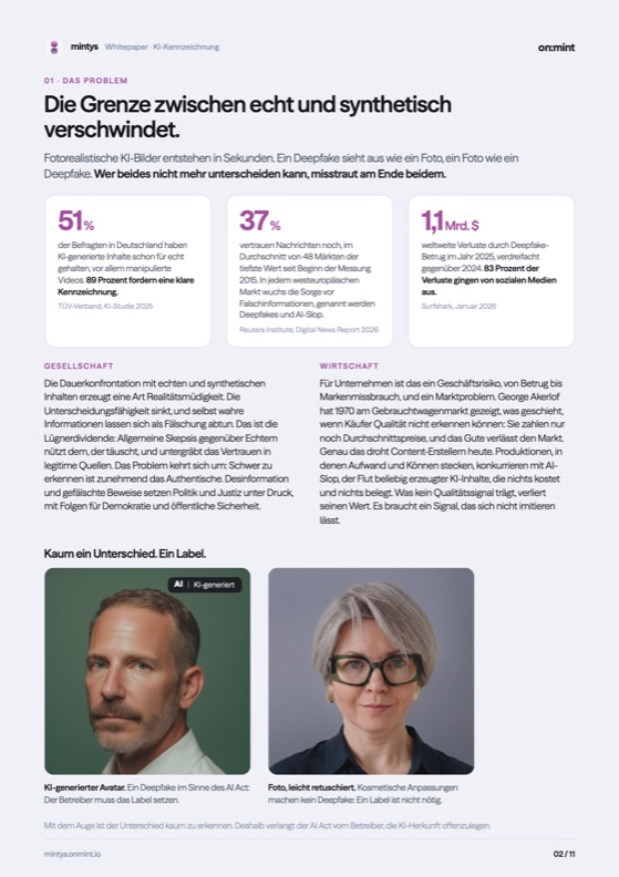 Seite 2 des Whitepapers: Das Problem